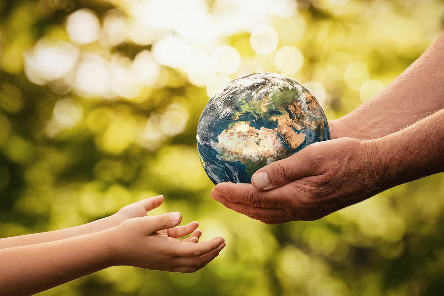 Sustainable Living Tips Feature image